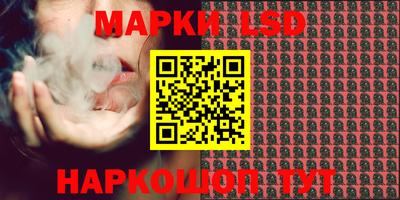 крисы Краснодар
