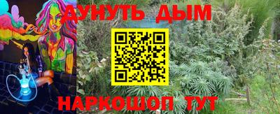 крисы Краснодар